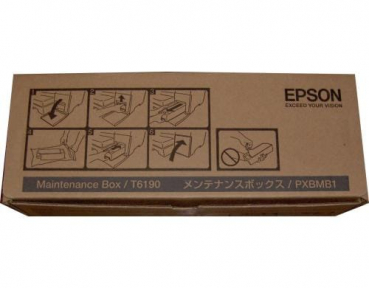 Epson C13T619000