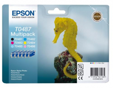 Epson C13T04874010