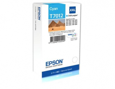 Epson C13T70124010