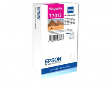 Epson C13T70134010