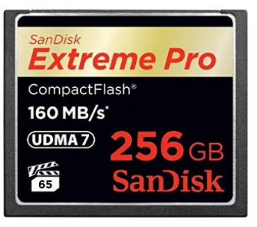 Sandisk SDCFXPS-256G-X46