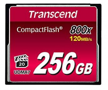 Transcend TS256GCF800