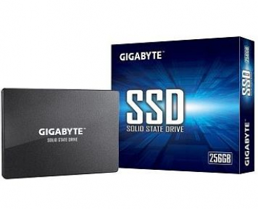 Gigabyte GP-GSTFS31256GTND