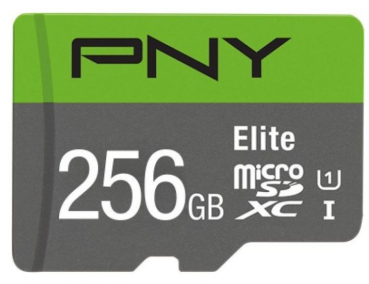 PNY P-SDU256V11100EL-GE