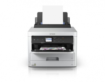 Epson C11CG06401