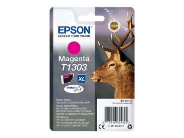 Epson C13T13034012