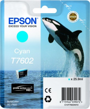 Epson C13T76024010