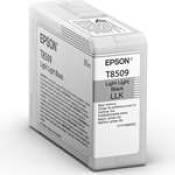 Epson C13T850900