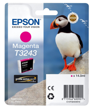 Epson C13T32434010