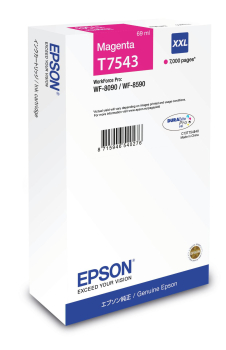 Epson C13T754340