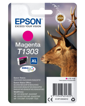 Epson C13T13034022