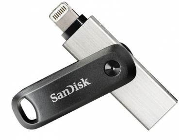 Sandisk SDIX60N-256G-GN6NE