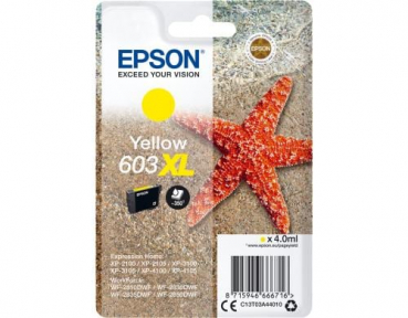 Epson C13T03A44010