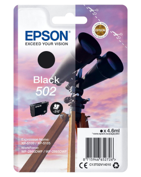 Epson C13T02V14020