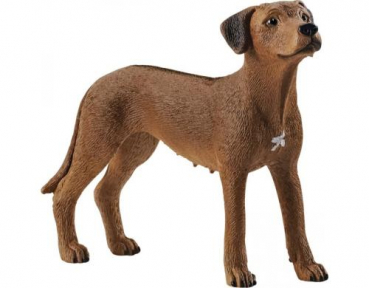 Schleich 13895