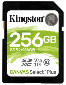 Kingston SDS2/256GB