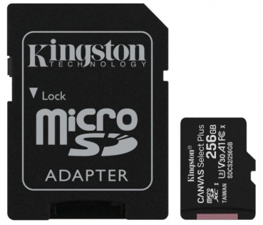 Kingston SDCS2/256GB