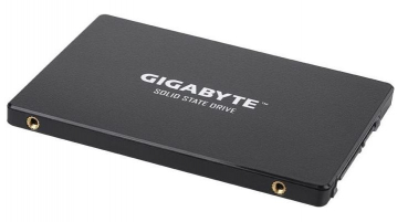 Gigabyte GP-GSTFS31100TNTD