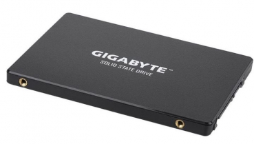 Gigabyte GP-GSTFS31480GNTD