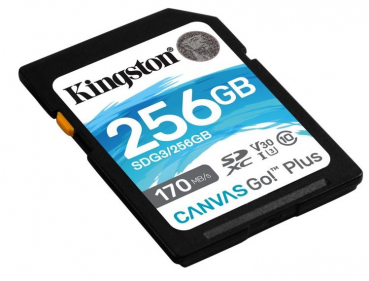 Kingston SDG3/256GB