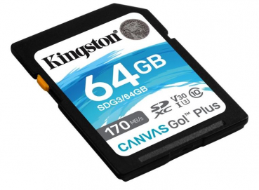 Kingston SDG3/64GB