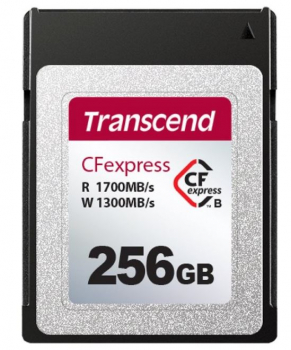 Transcend TS256GCFE820