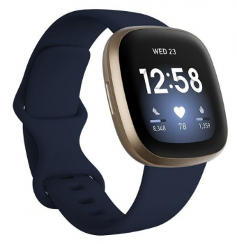 Fitbit FB511GLNV