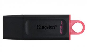 Kingston DTX/256GB