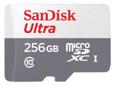 Sandisk SDSQUNR-256G-GN6TA