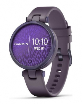 Garmin 010-02384-12