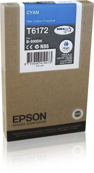 Epson C13T617200