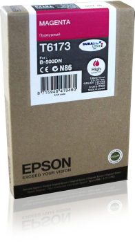 Epson C13T617300