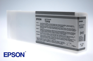 Epson C13T591800