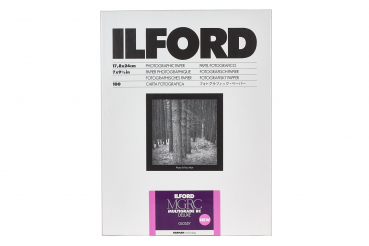 Ilford 1179888