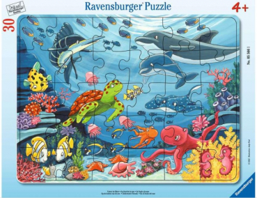 Ravensburger 00.005.566