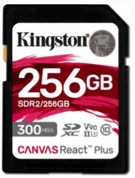 Kingston SDR2/256GB