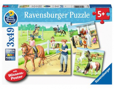 Ravensburger 05129