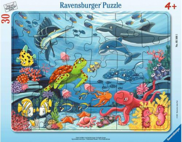 Ravensburger 5566