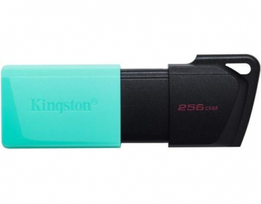 Kingston DTXM/256GB