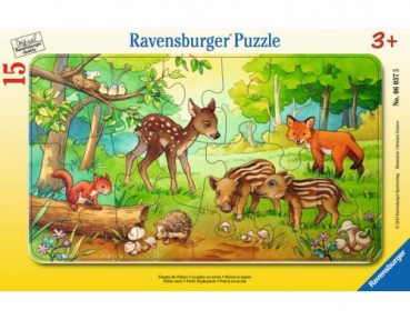 Ravensburger 06376