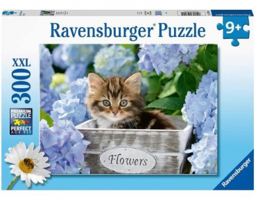 Ravensburger 12894