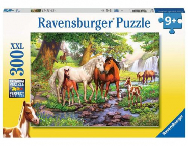 Ravensburger 12904