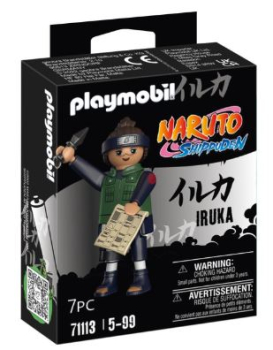 Playmobil 71113