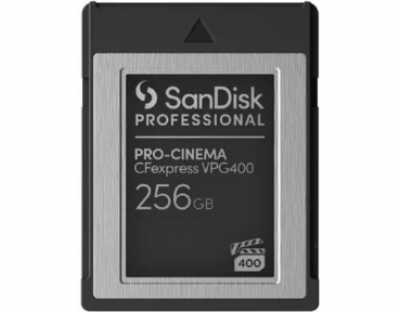 Sandisk SDPCVN4-256G-GNANN