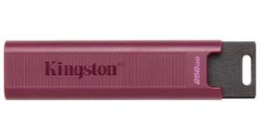 Kingston DTMAXA/256GB