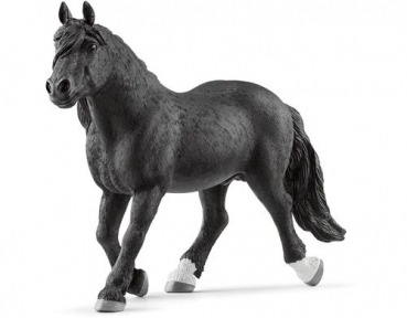 Schleich 13958