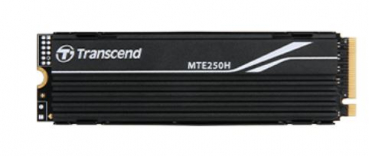 Transcend TS1TMTE250H