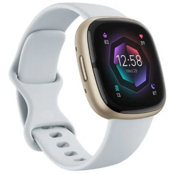 Fitbit FB521GLBM