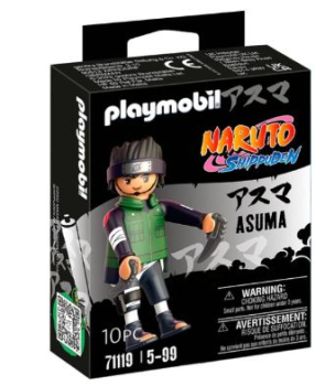 Playmobil 71119