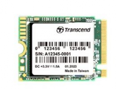 Transcend TS256GMTE300S